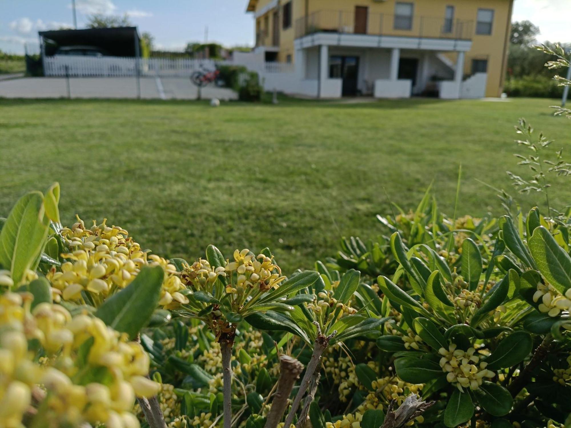 Natura E Mente Camere E Relax Vasto Zewnętrze zdjęcie